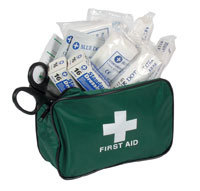 Vehicle First Aid Kit - Bag