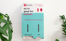 HEY GIRLS PERIOD PRODUCT DISPENSERS